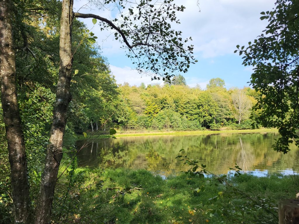 Blanquaert – Autres – 30 000 €